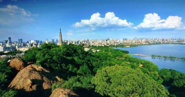 學習國外苗木行業經驗，搶先了解國內市場動態